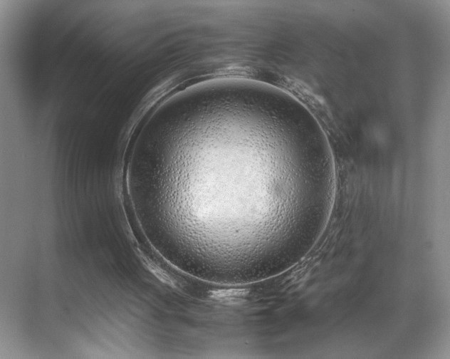X0000070430051200606091314