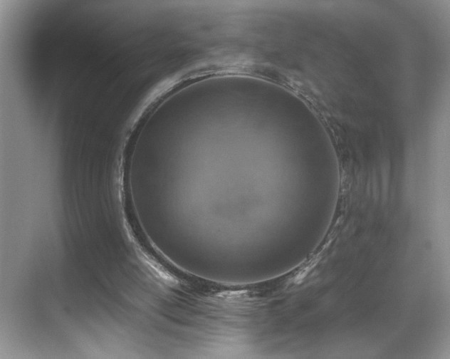 X0000070430054200606091314