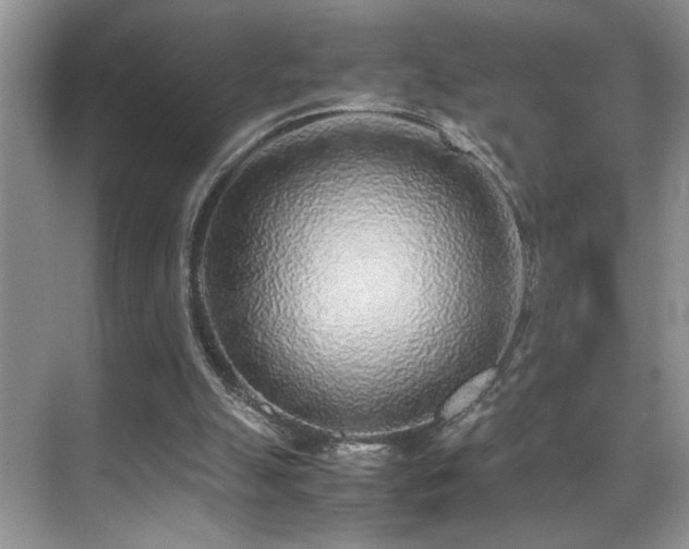 X0000070430055200606091314