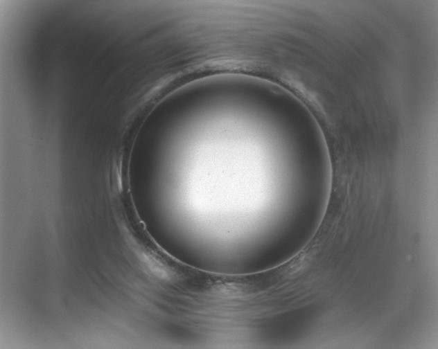 X0000070430062200606091315