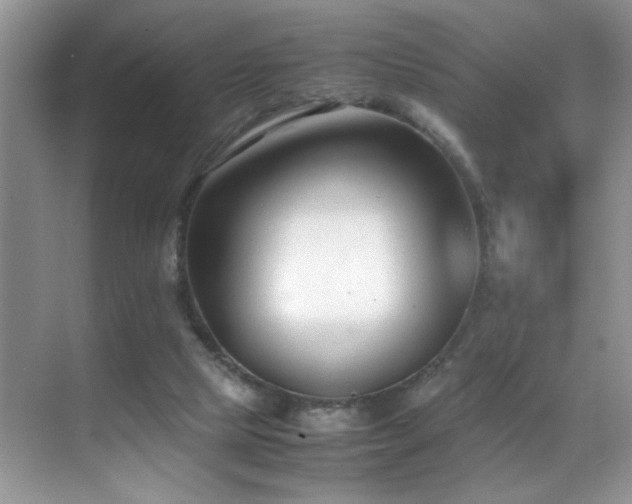 X0000070430065200606091315
