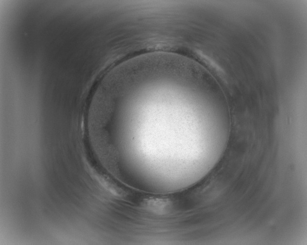 X0000070430067200606091315