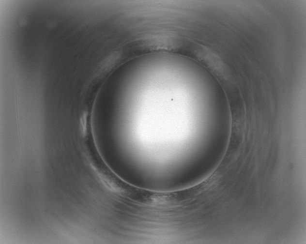 X0000070430070200606091315