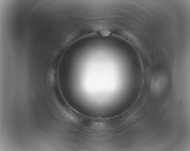 X0000070430071200606091315