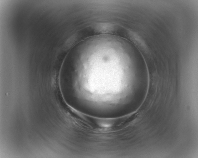 X0000070430073200606091315