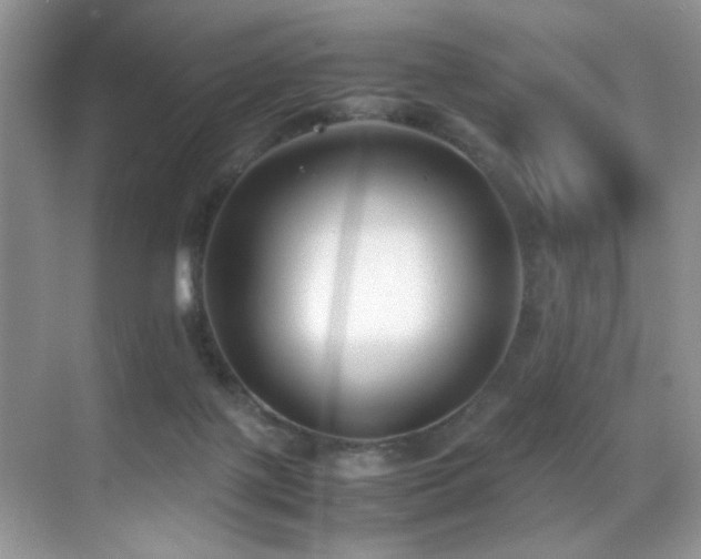 X0000070430075200606091315