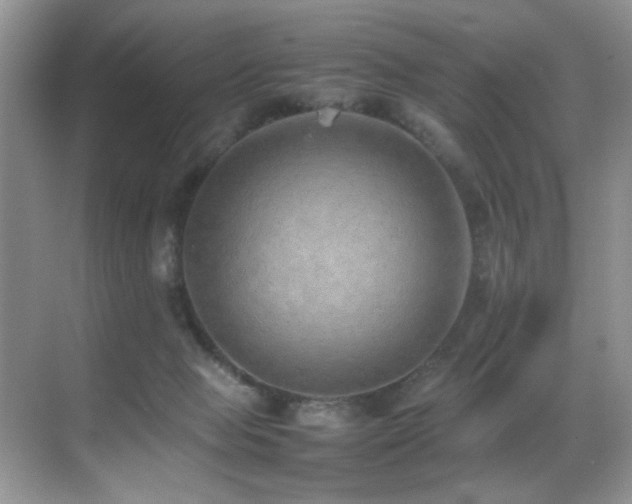 X0000070430077200606091315