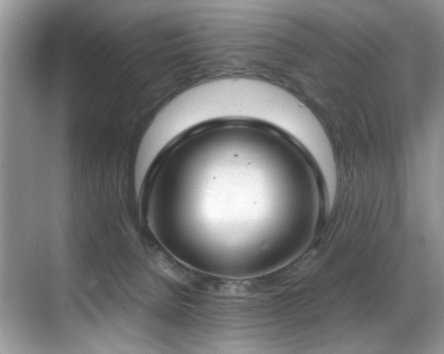 X0000070430080200606091315