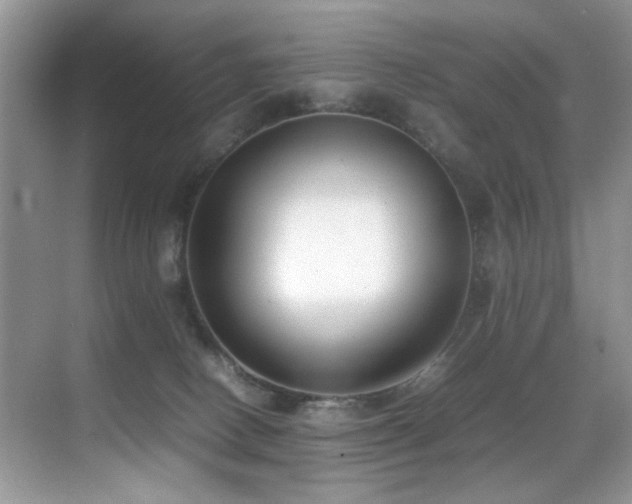 X0000070430082200606091315