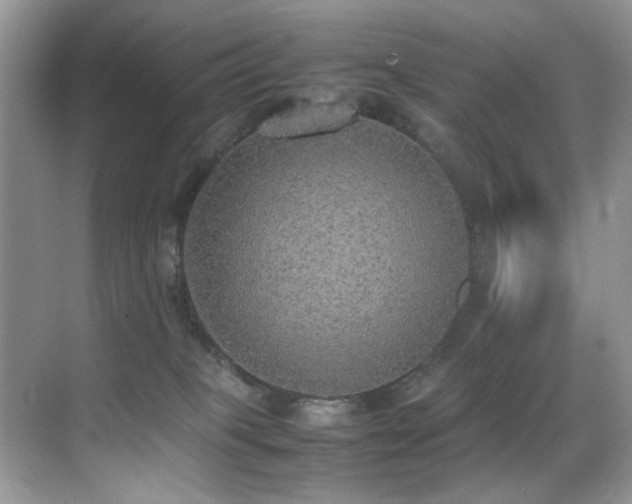 X0000070430085200606091315