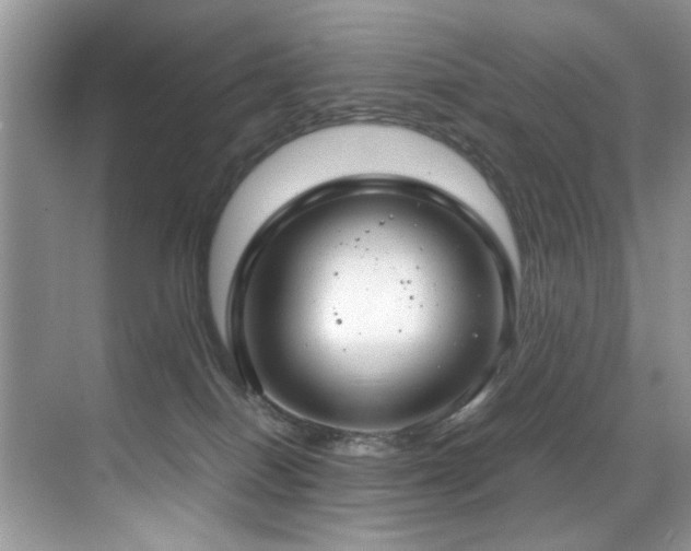 X0000070430086200606091315