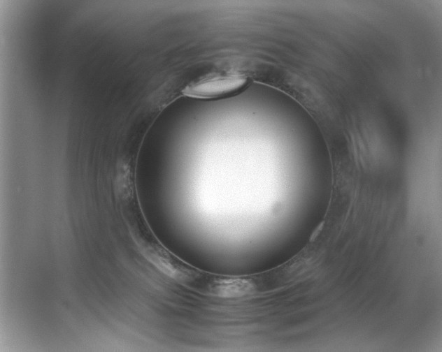 X0000070430087200606091315