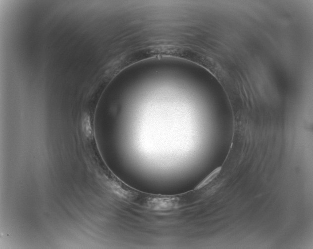 X0000070430089200606091315