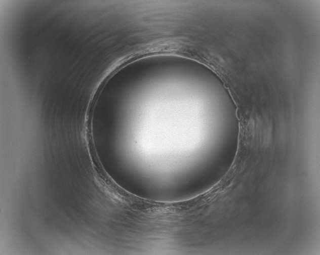 X0000070430100200606091314