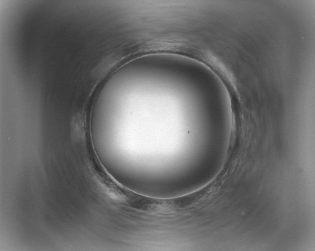 X0000070430107200606091314