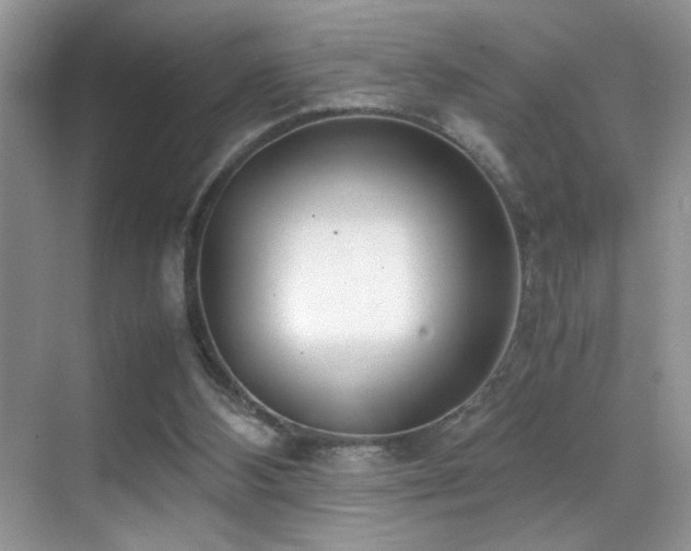 X0000070430108200606091314