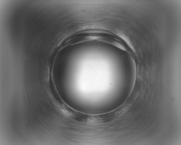 X0000070430109200606091314