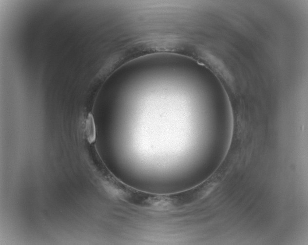 X0000070430113200606091314