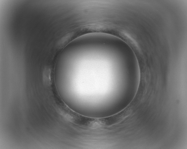 X0000070430115200606091314