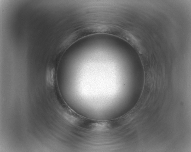 X0000070430118200606091314