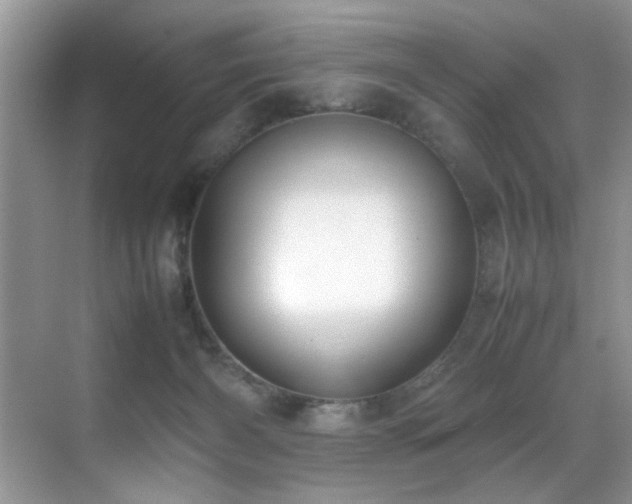 X0000070430126200606091314