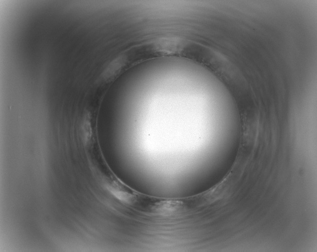 X0000070430128200606091314