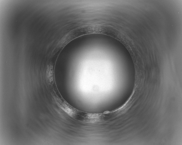X0000070430144200606091314