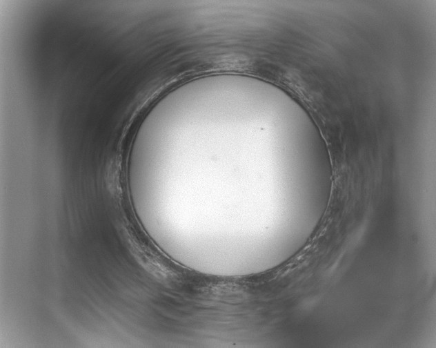 X0000070430146200606091313