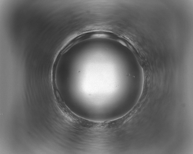 X0000070430148200606091313