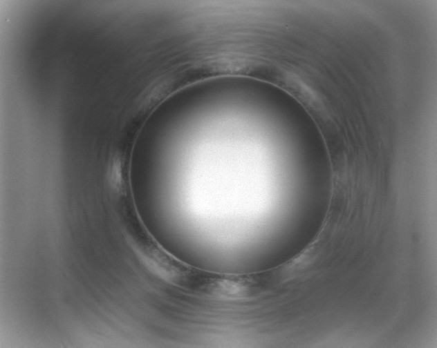 X0000070430166200606091313