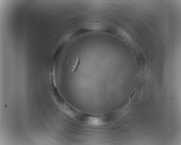 X0000070430167200606091313