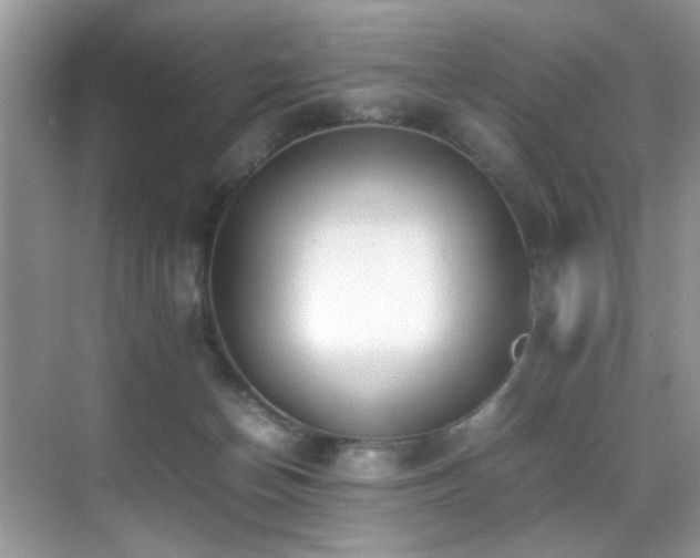 X0000070430174200606091313