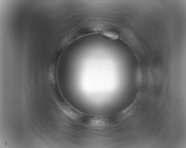 X0000070430175200606091313