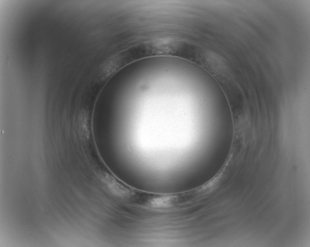 X0000070430178200606091313