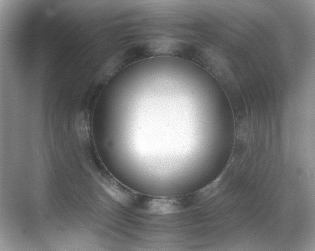 X0000070430179200606091313