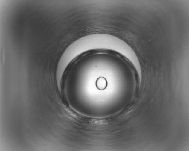 X0000070430185200606091313