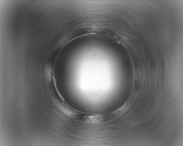 X0000070430188200606091313