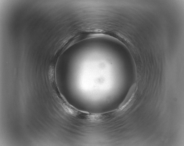 X0000070430192200606091313