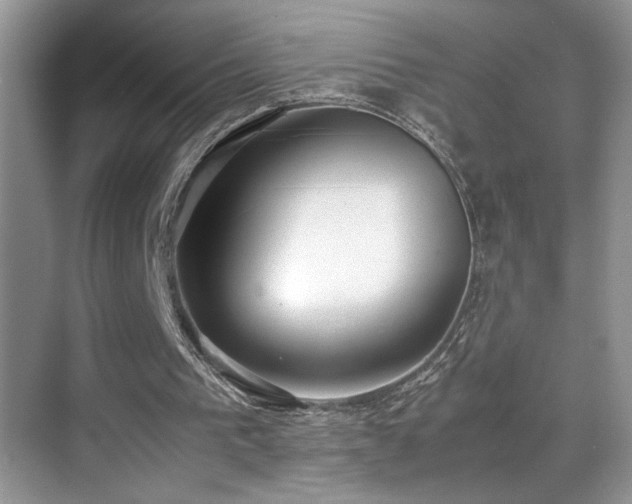 X0000070430193200606091313