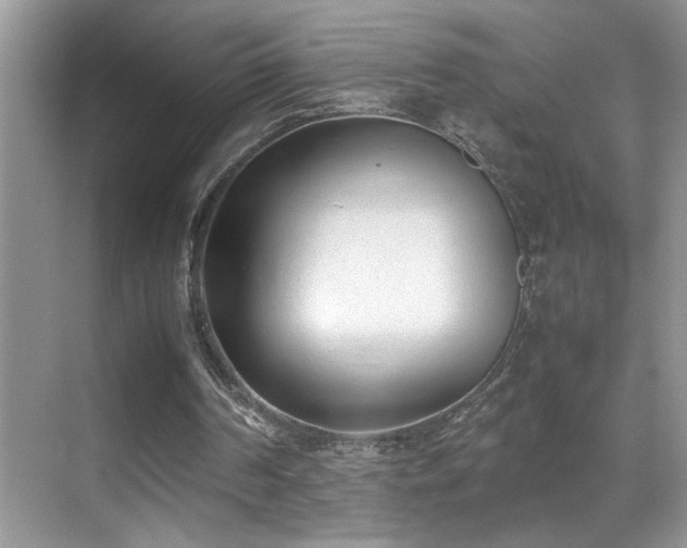 X0000070430194200606091313