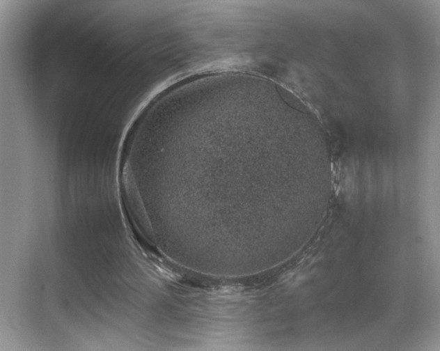 X0000070430196200606091313