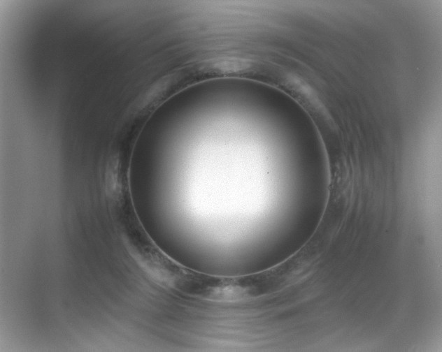 X0000070430212200606091312