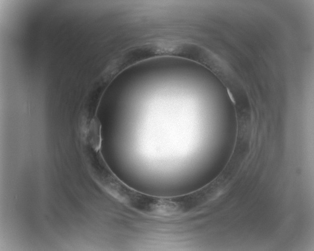 X0000070430215200606091312