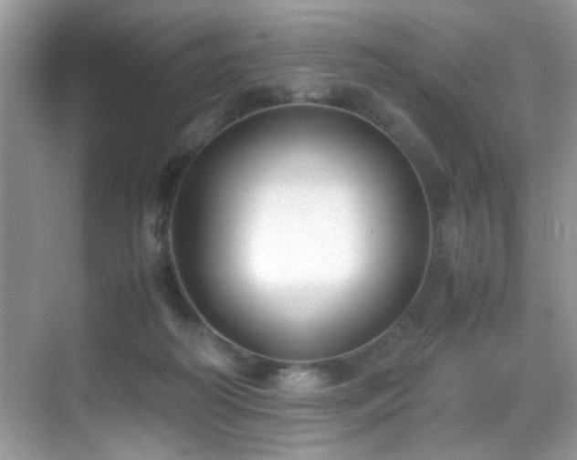 X0000070430218200606091312