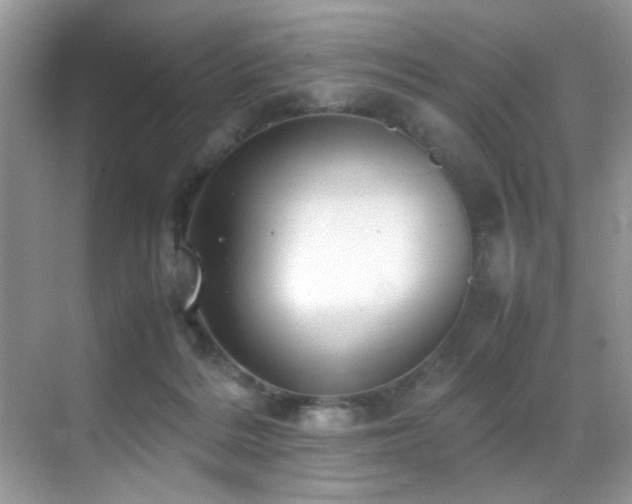 X0000070430220200606091312