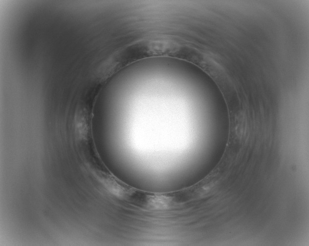 X0000070430226200606091312