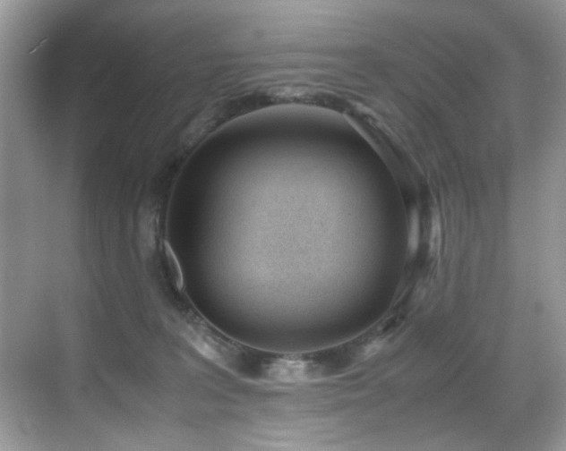 X0000070430227200606091312