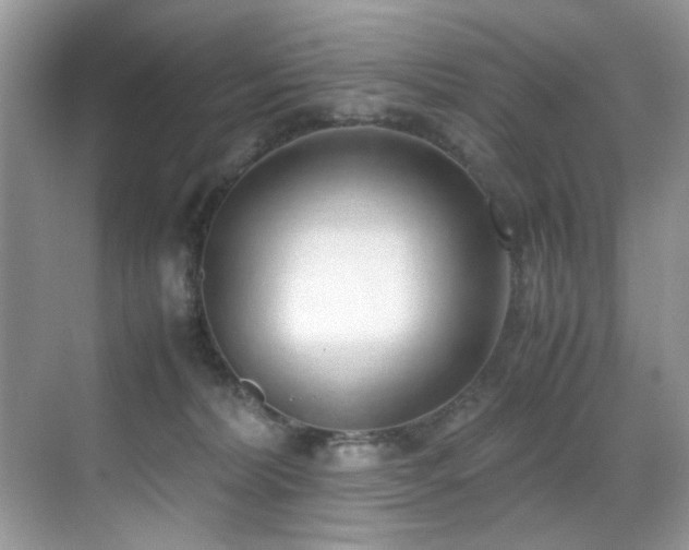 X0000070430228200606091312