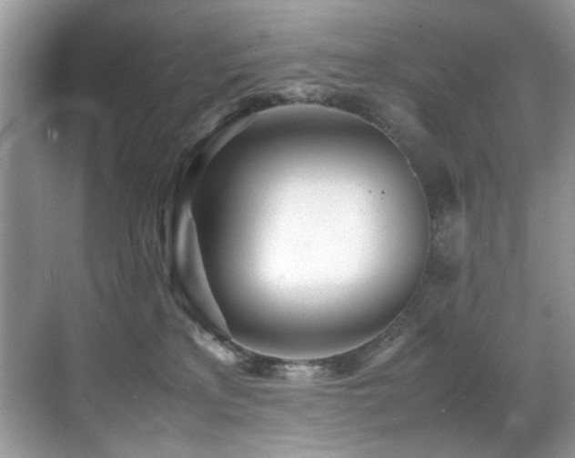 X0000070430233200606091312