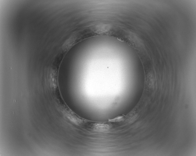 X0000070430234200606091312